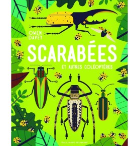 Scarabées et autres coléoptères