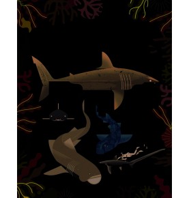 Requins
