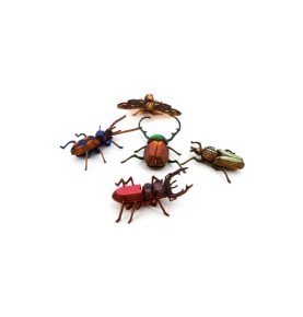 KIT PETITS INSECTES CLASSIQUES