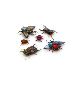 KIT PETITS INSECTES EXOTIQUES