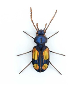 INSECTE CHATOUILLUS EN CARTON