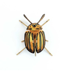 INSECTE PUCETULUS EN CARTON
