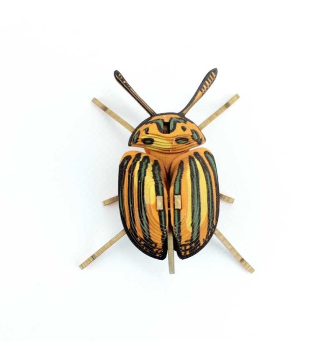INSECTE PUCETULUS EN CARTON