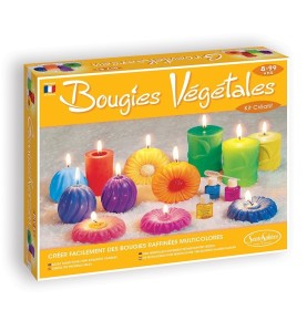 DIY BOUGIES VEGETALES