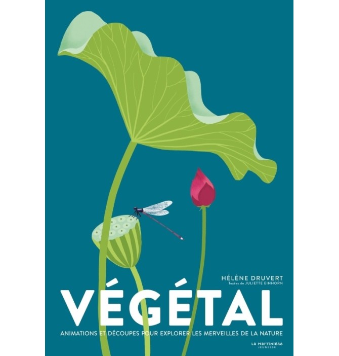 Végétal Végétal