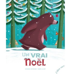 Un Vrai Noël