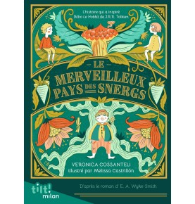 Le Merveilleux Pays des Snergs