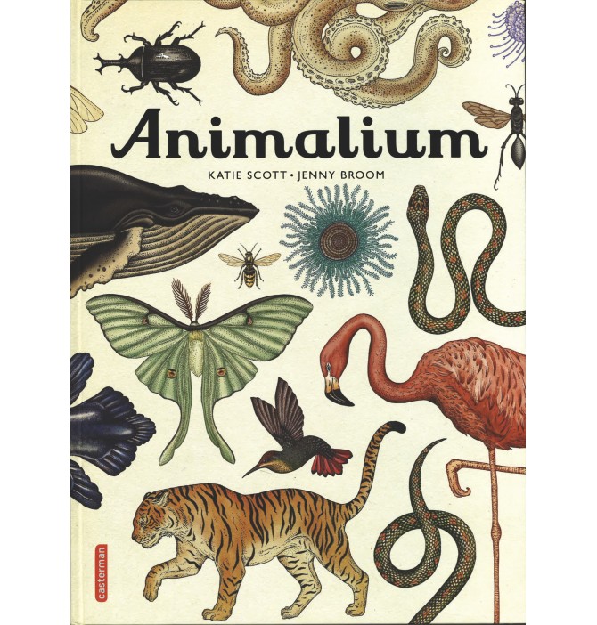 Encyclopedium - Animalium