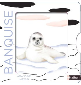 Les belles couleurs - la banquise