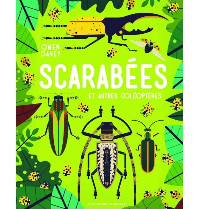 Scarabées et autres coléoptères