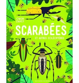 Scarabées et autres coléoptères