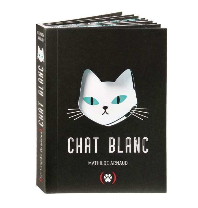 Chat blanc