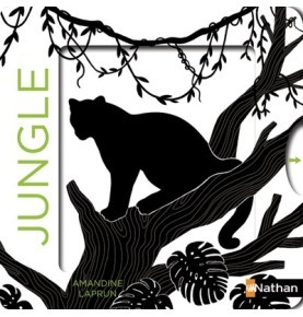 Les belles couleurs - la jungle