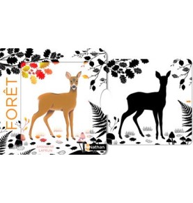 Forêt