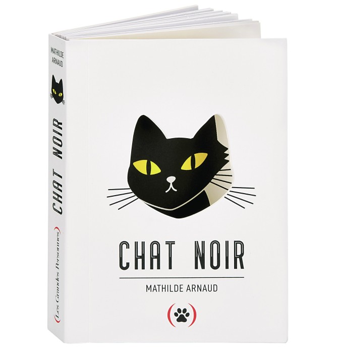 Chat noir